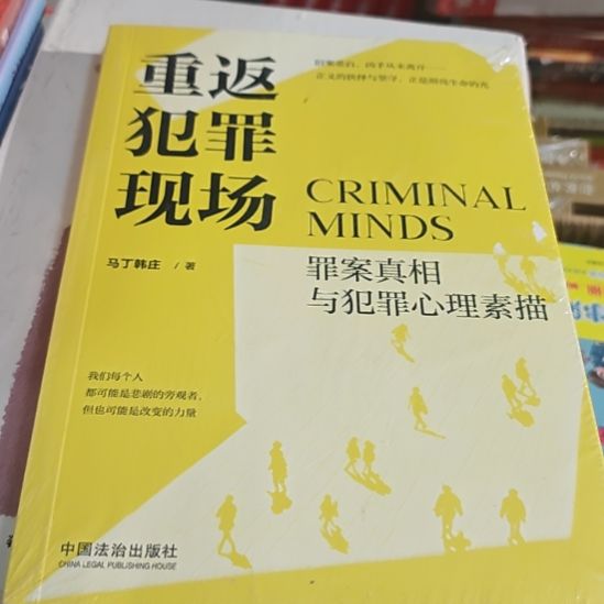 重返犯罪现场平装库存书全新