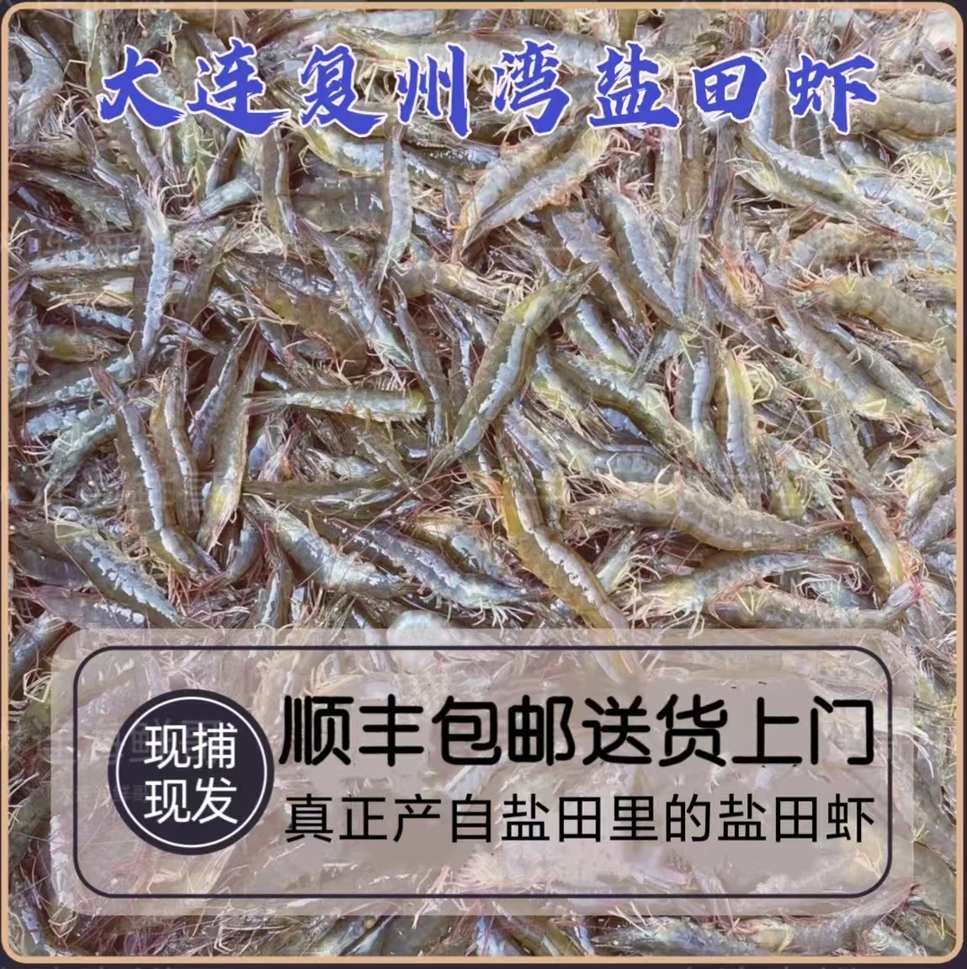 【大牙专属】速冻复州湾盐田虾/30头左右/斤（大小不均嫌弃小勿拍）