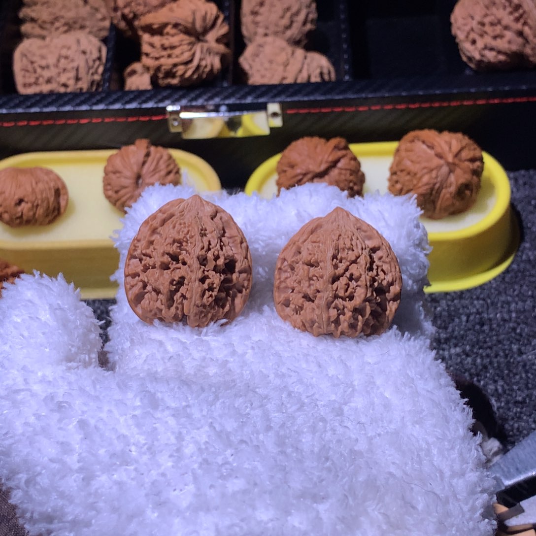 满天星36尺寸有修22222