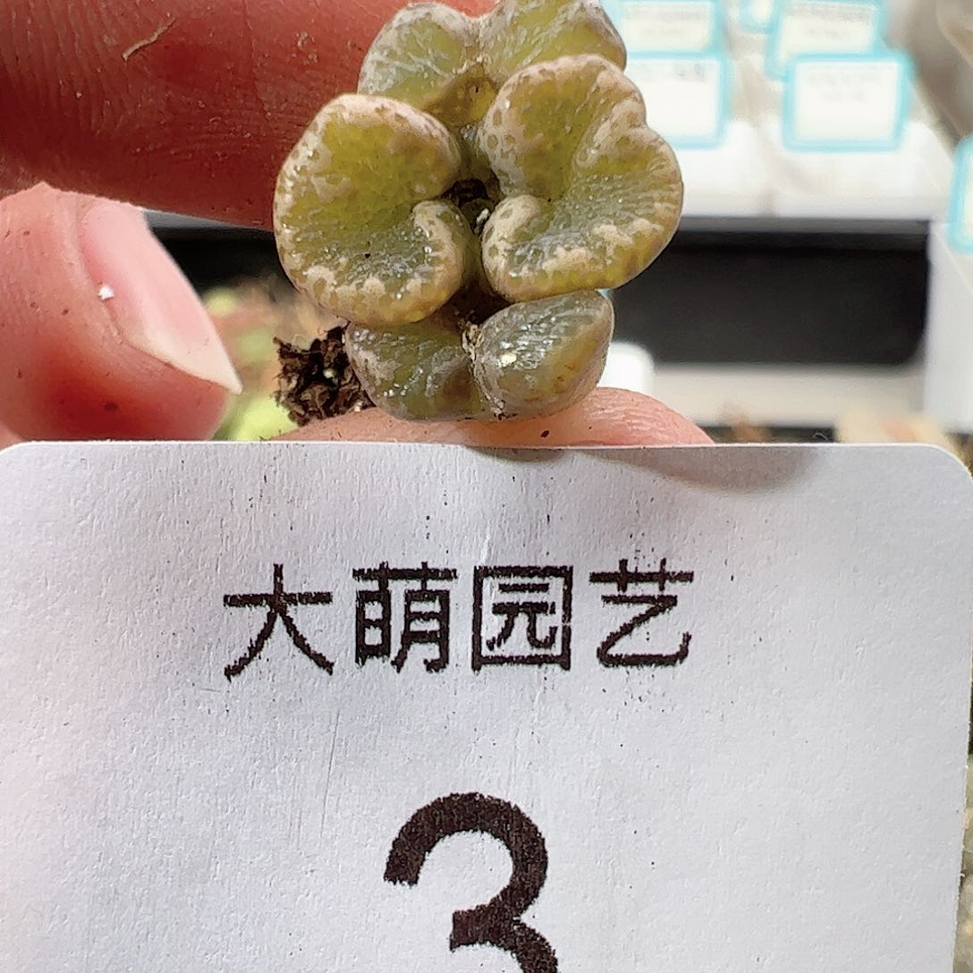 00003 一物一拍……