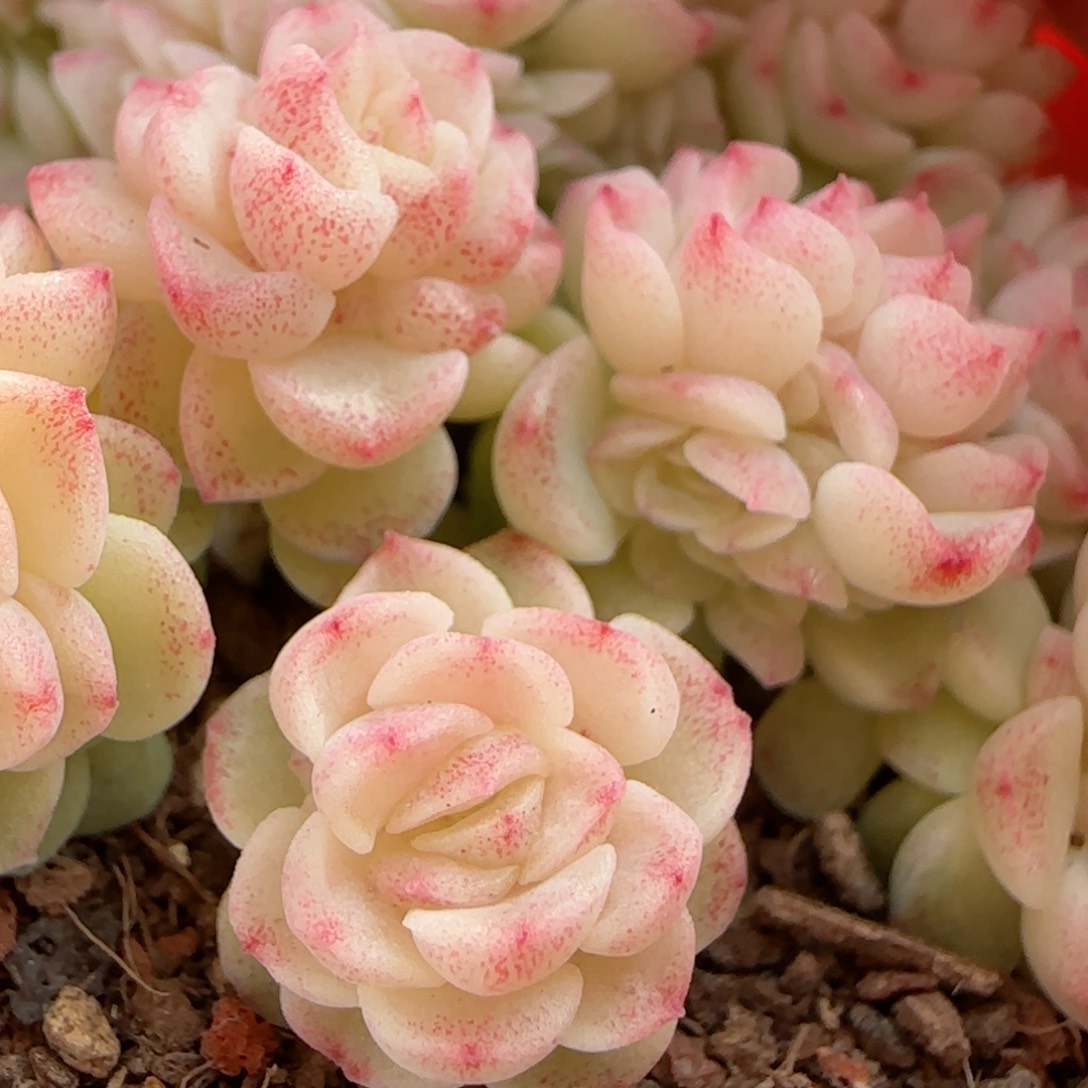 雨***?【闪购商品】0125-40（ht-8）