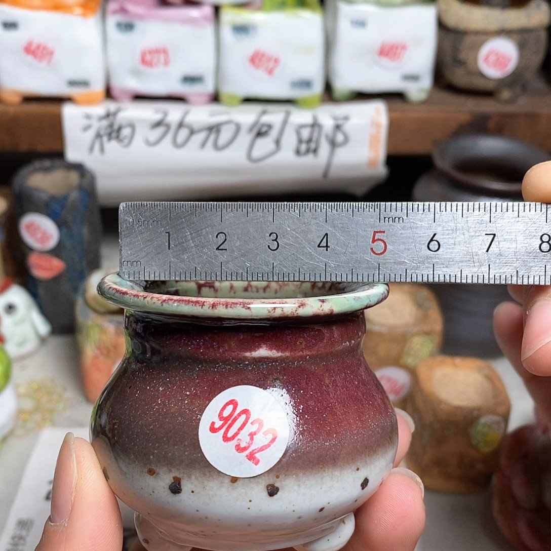 红陶拍5送一个小