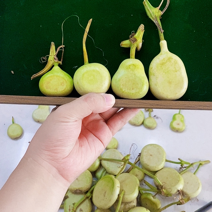 关****e默认发青皮不包成不退不换，可以帮忙打皮发干货