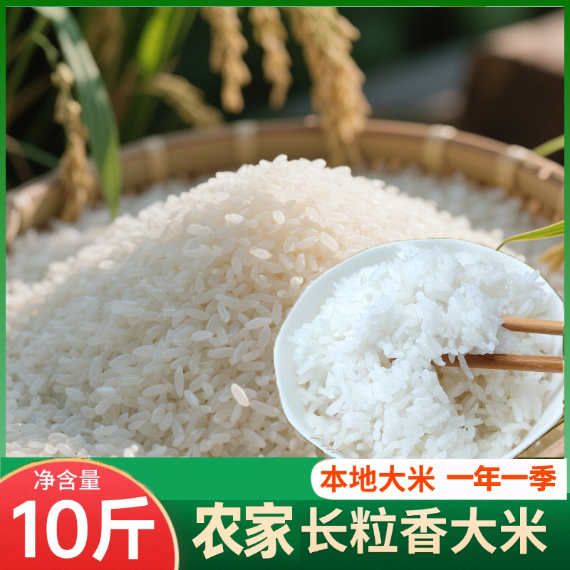 正宗高山梯田长粒香米10斤农家本地优质鲜米软糯香甜颗粒饱满
