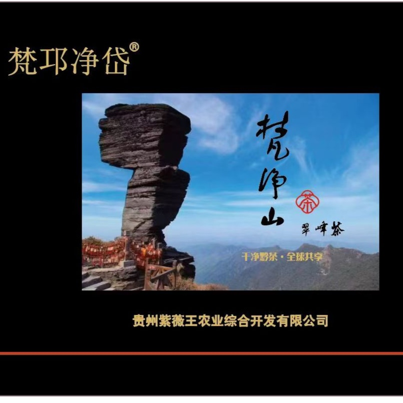 2025款高山云雾翠峰茶送礼优选礼盒装
