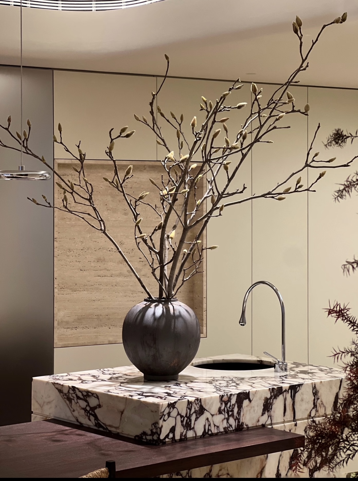 观枝型不开花的玉兰枝室内装饰绿植