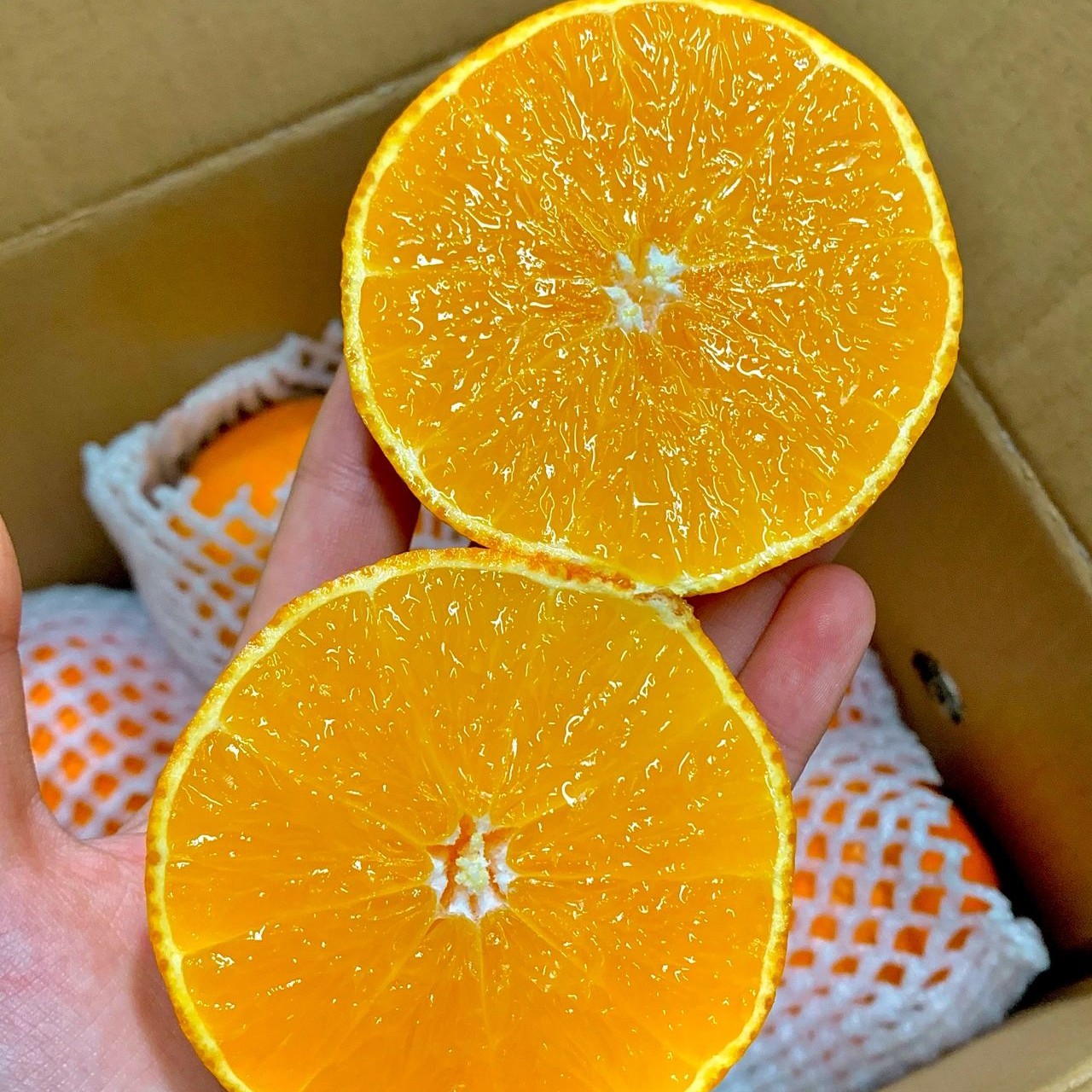 【富贵专属顺丰次日达】四川爱媛果冻橙5公斤包邮到家四川省