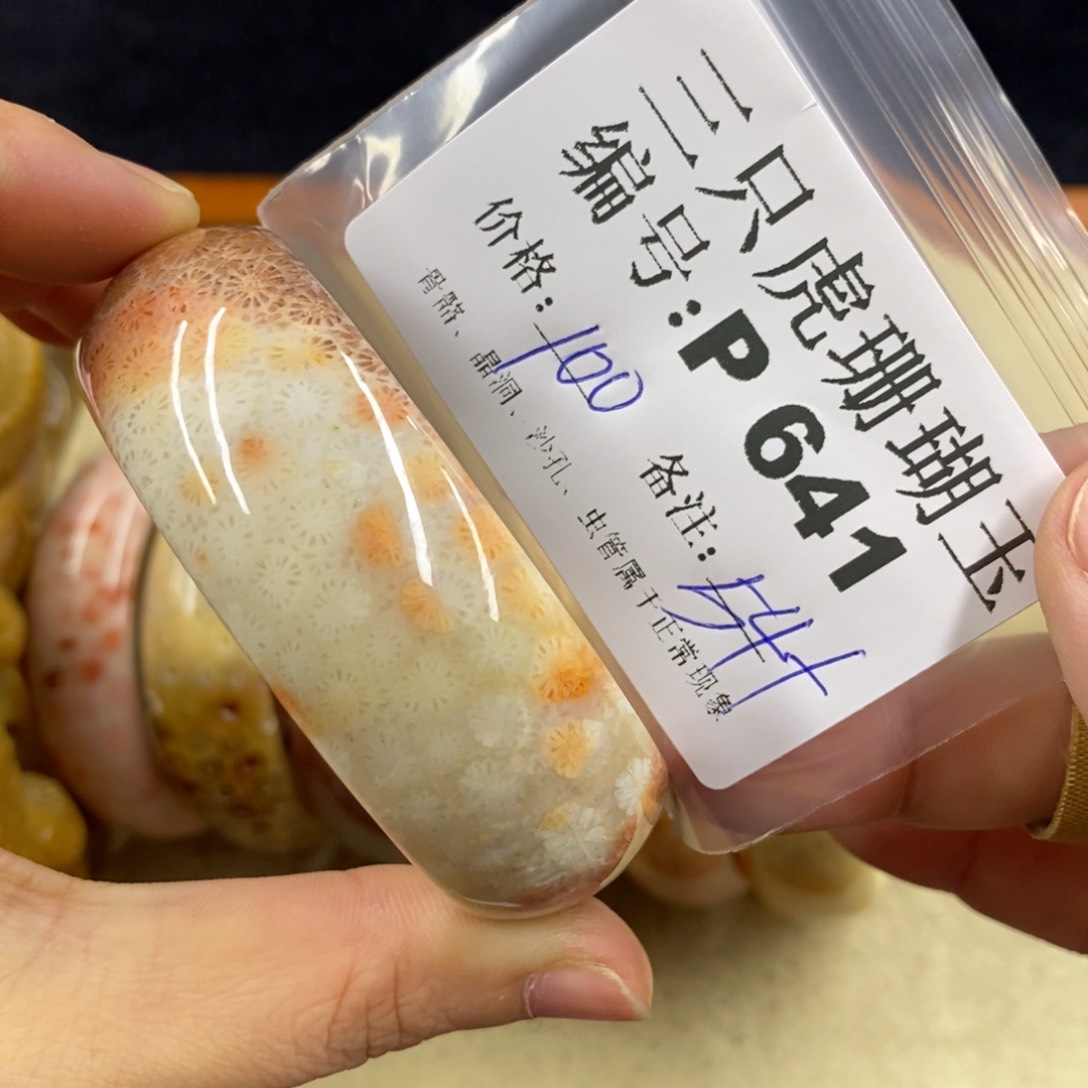 硅化珊瑚（珊瑚玉）1未镶嵌安*