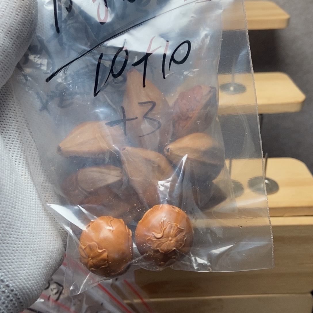 【闪购商品】吊坠橄榄核阿**?橄榄核刺