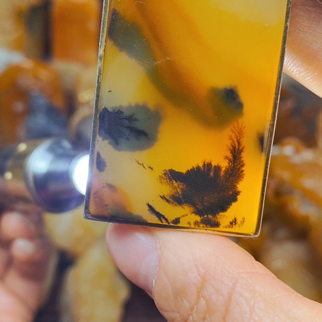 石英质玉（黄龙玉）颈饰未镶嵌