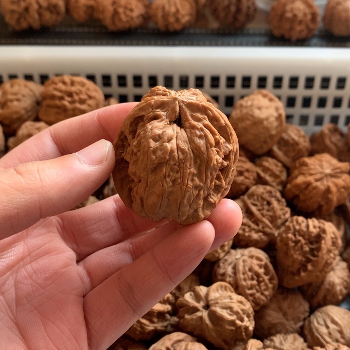 齐***齐文玩核桃把件将军棒