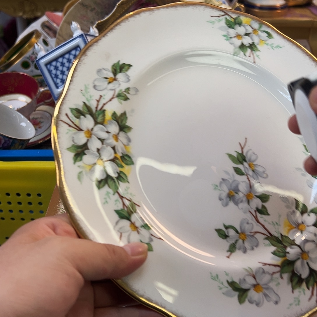 杯哈哈哈哈哈哈哈哈