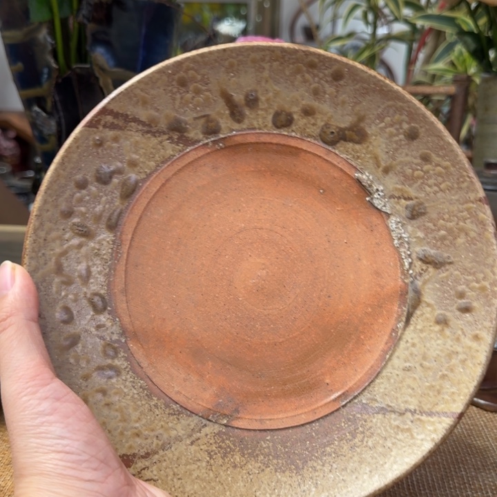 末石泰节圆盘福利一口价