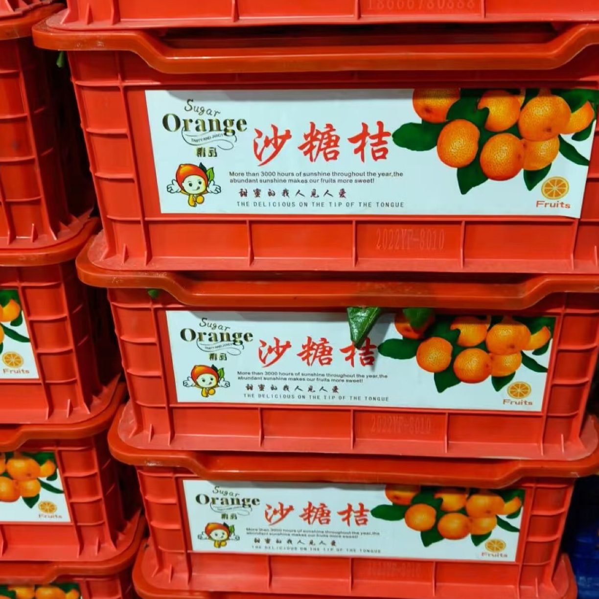 精品砂糖橘一筐装广西壮族自治区