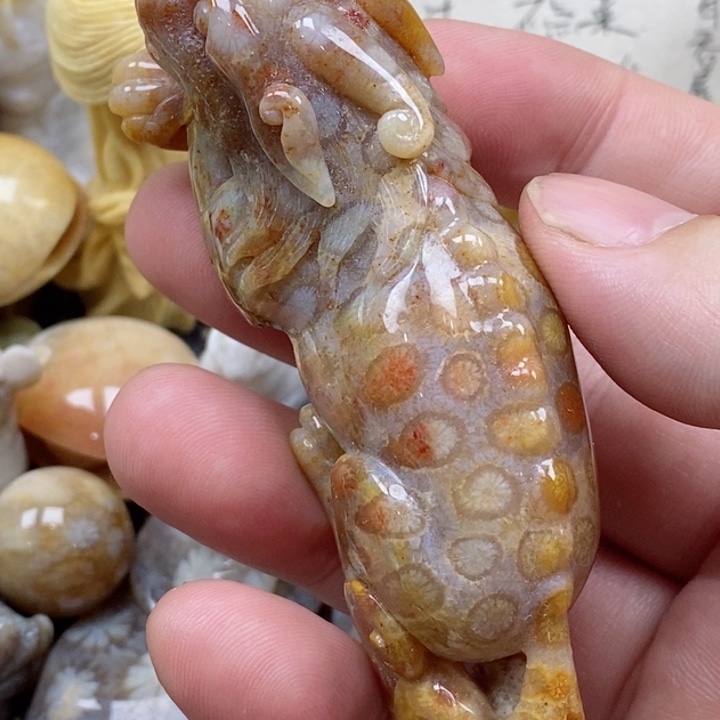 颈饰未镶嵌硅化珊瑚（珊瑚玉）