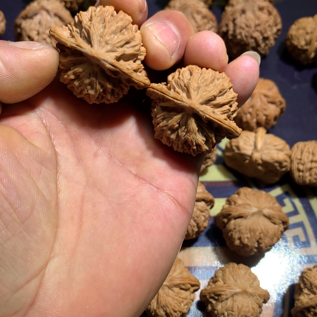 文玩核桃把件盘龙纹40