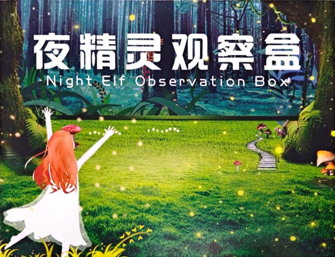 夜精灵观察灯情侣新款礼物萤火虫饲养盒观察套装