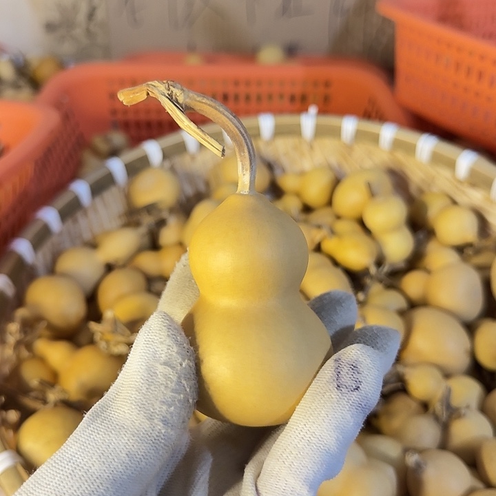 银S925好想要小孩呀