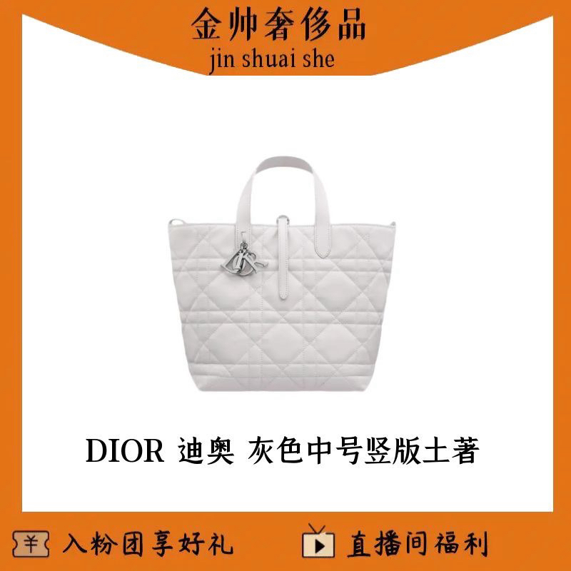 99新 DIOR/迪奥 灰色/土著/中号/竖版/单肩包/B6573
