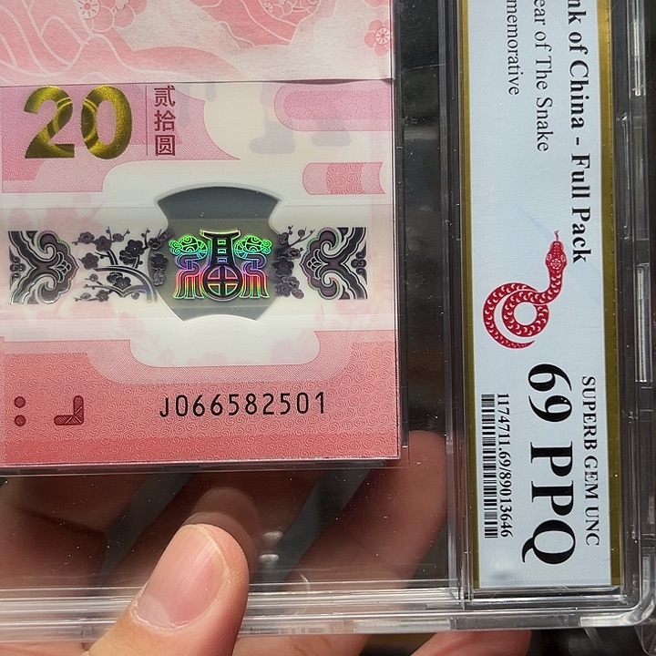 塑料蛇钞啊啊啊啊啊啊啊啊啊