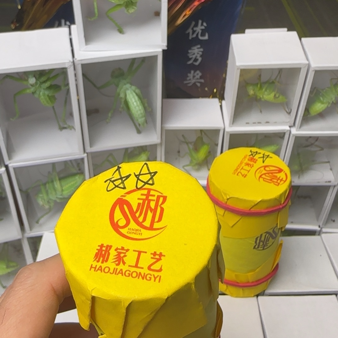 啥***盘蝈蝈精品大包绿蝈蝈