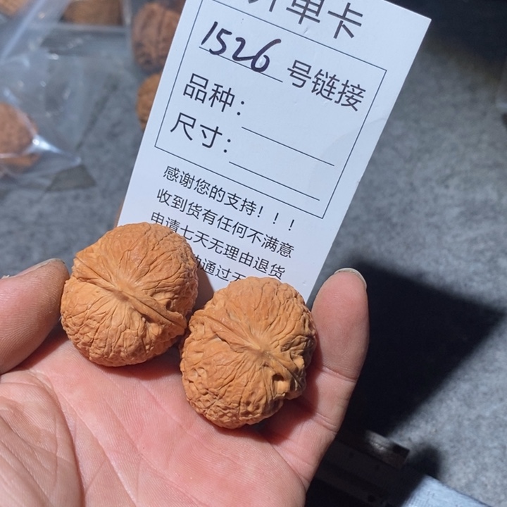 文玩核桃把件1526家咯哦哦想我吗