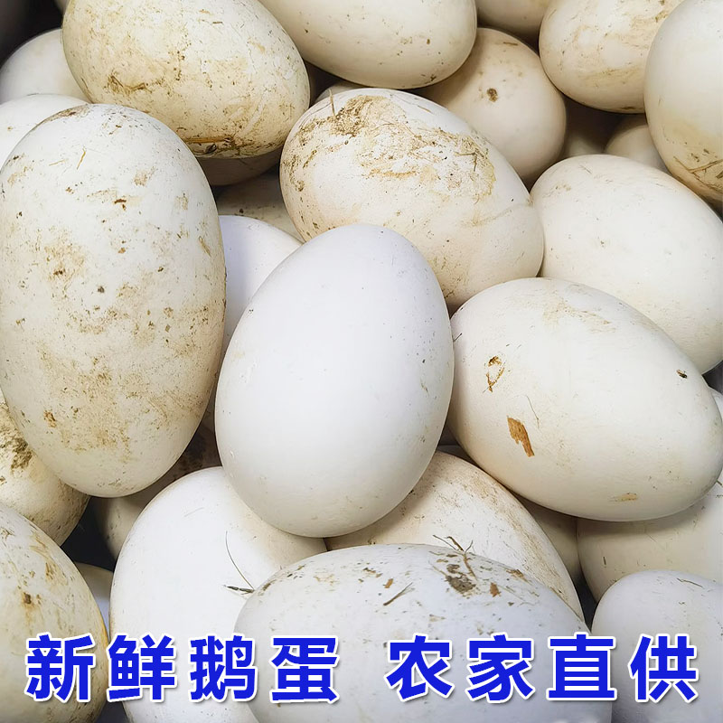 【到手20枚 买10枚送10枚】农家现捡现发散养新鲜鹅蛋仔鹅蛋14