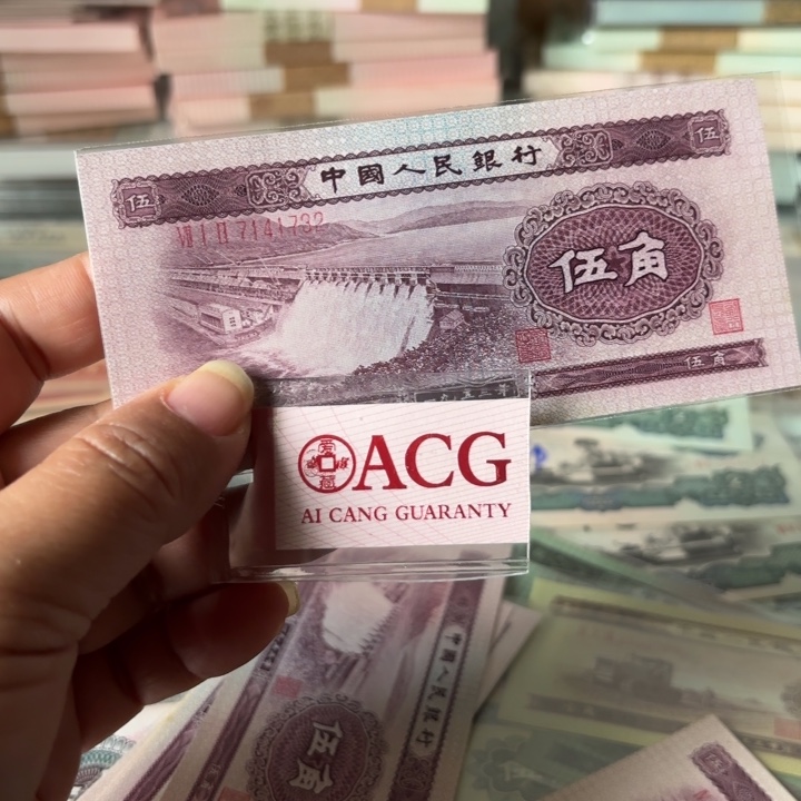 浅水坝伍角1张————————————