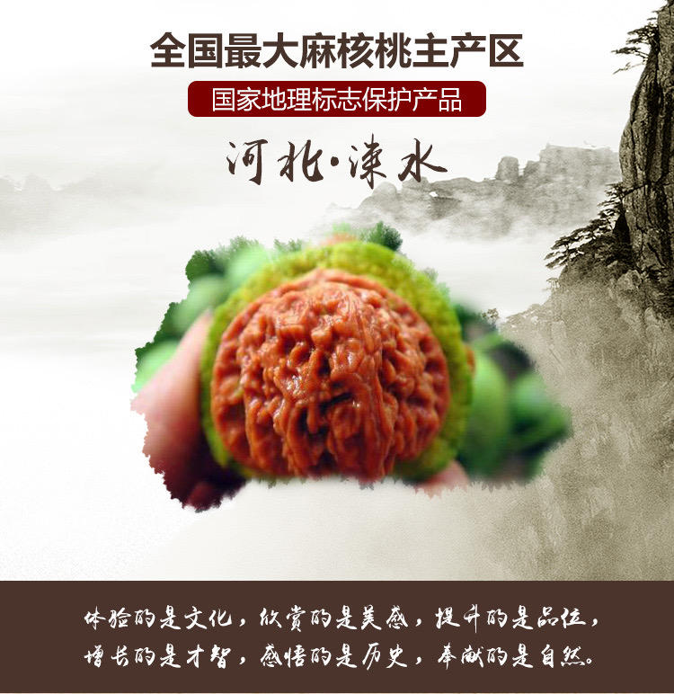 文玩核桃白狮子四座楼满天星元宝直播间综合链接