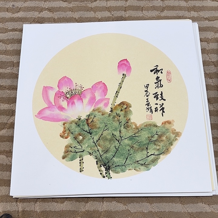 国画花鸟的翅膀和翅膀50.50
