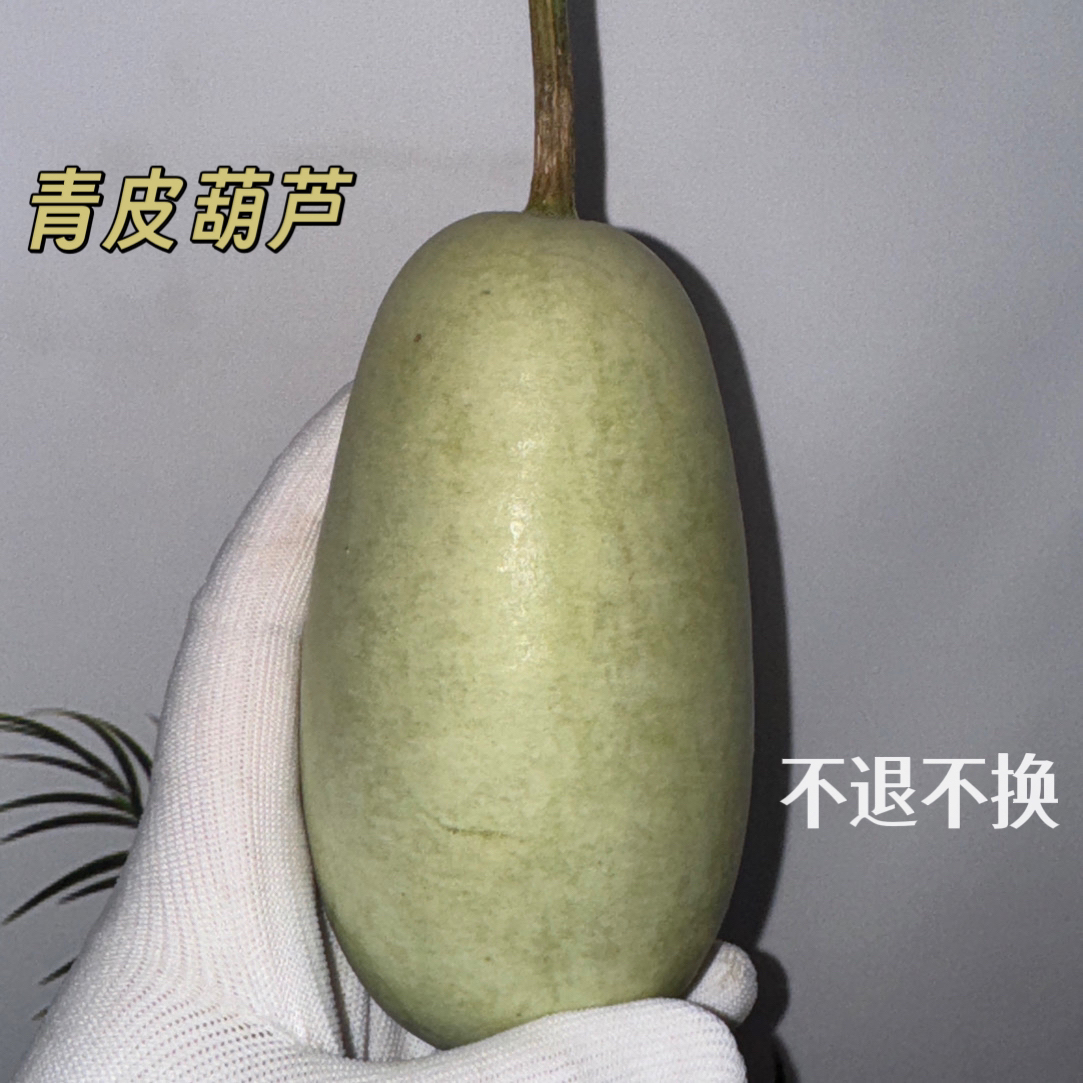 青皮葫芦不保成看好下单一物一拍(直播专用）具体看直播间