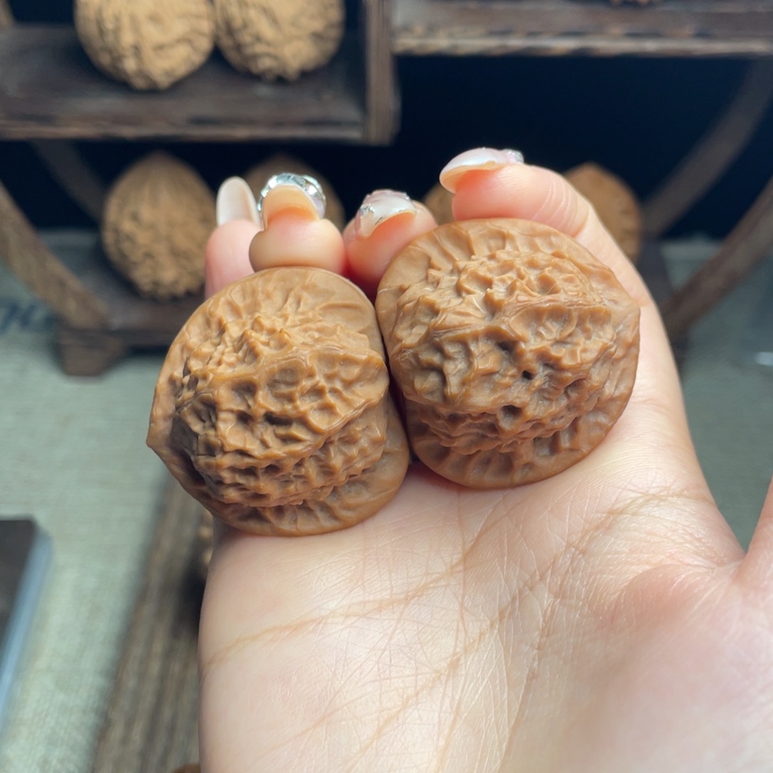 木质瓷娃娃37 全品白茬精配毕业红皮