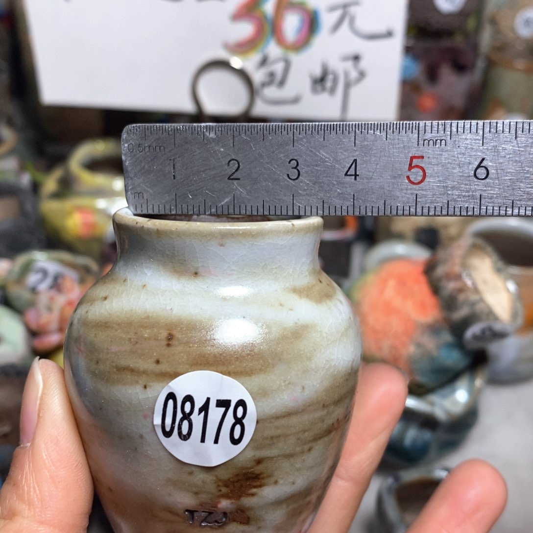 花盆拍5送一个小礼物