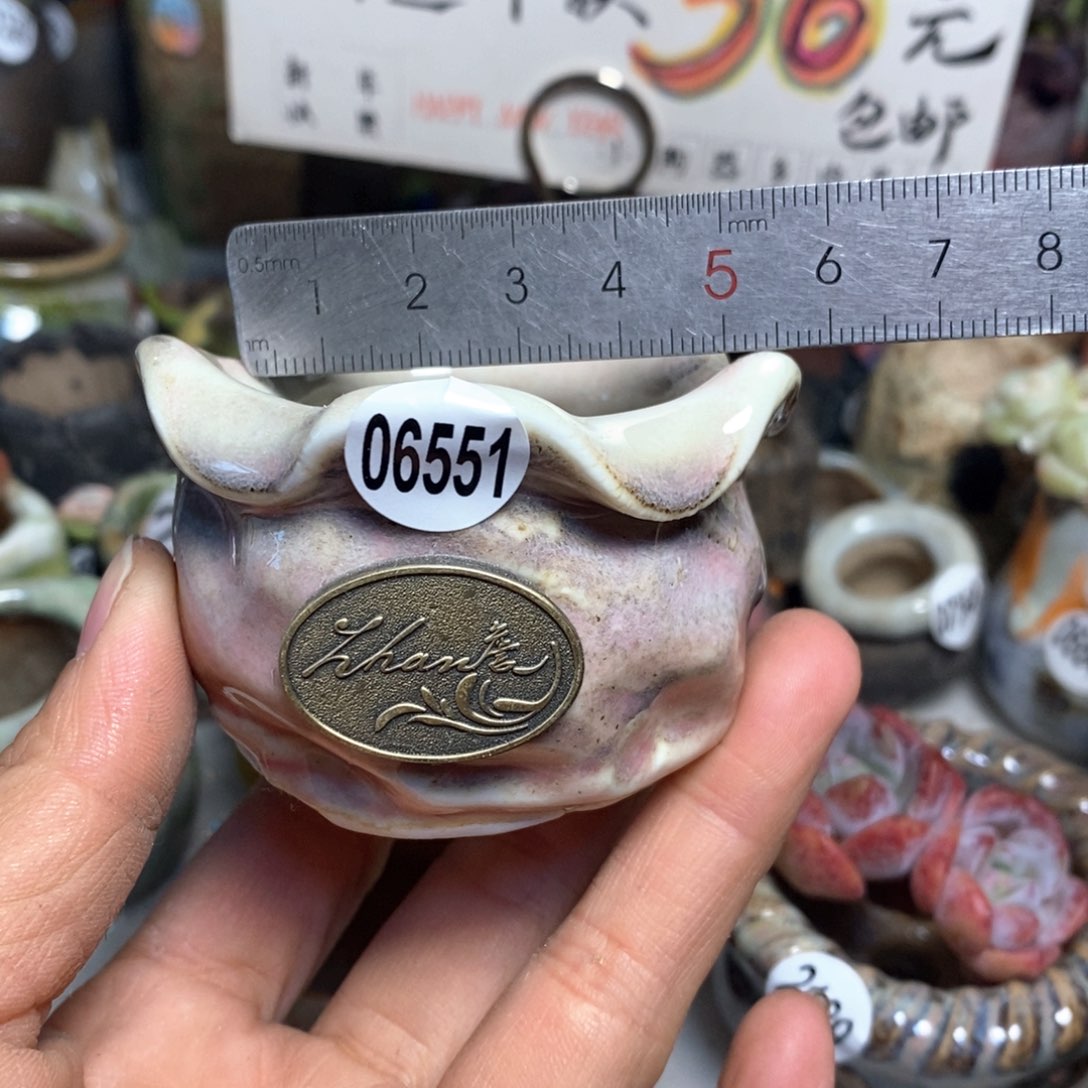 特价花盆拍5送一个小礼物