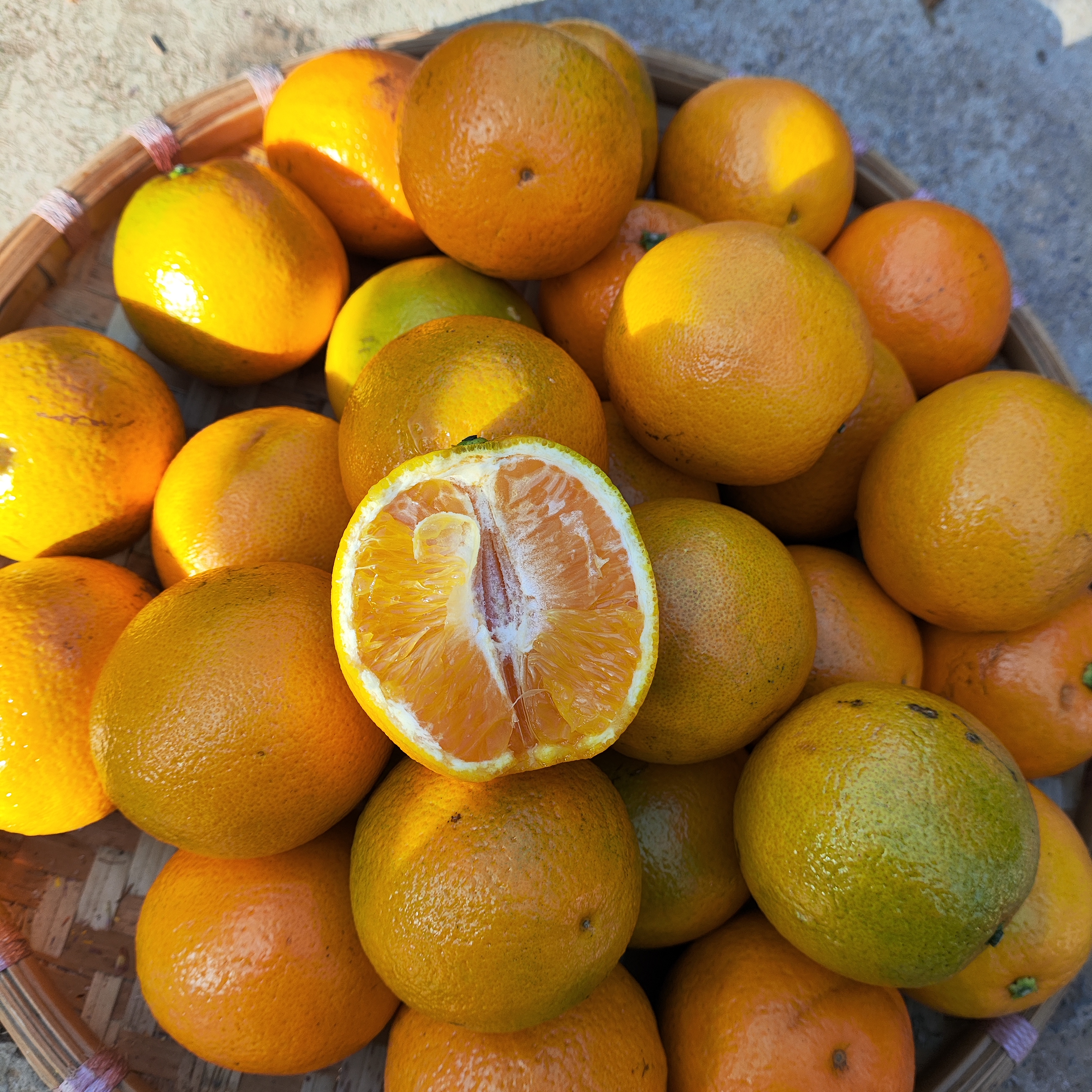 ⁸源自农家【农家蜜橙】