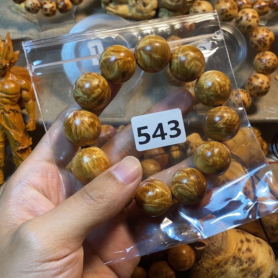 天***狼柏木（崖柏）崖柏龙胆闪电2.0–543