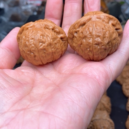 桃核吊坠金**穗蛙蛙蛙蛙