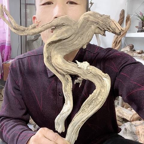 【闪购商品】柏木（崖柏）1