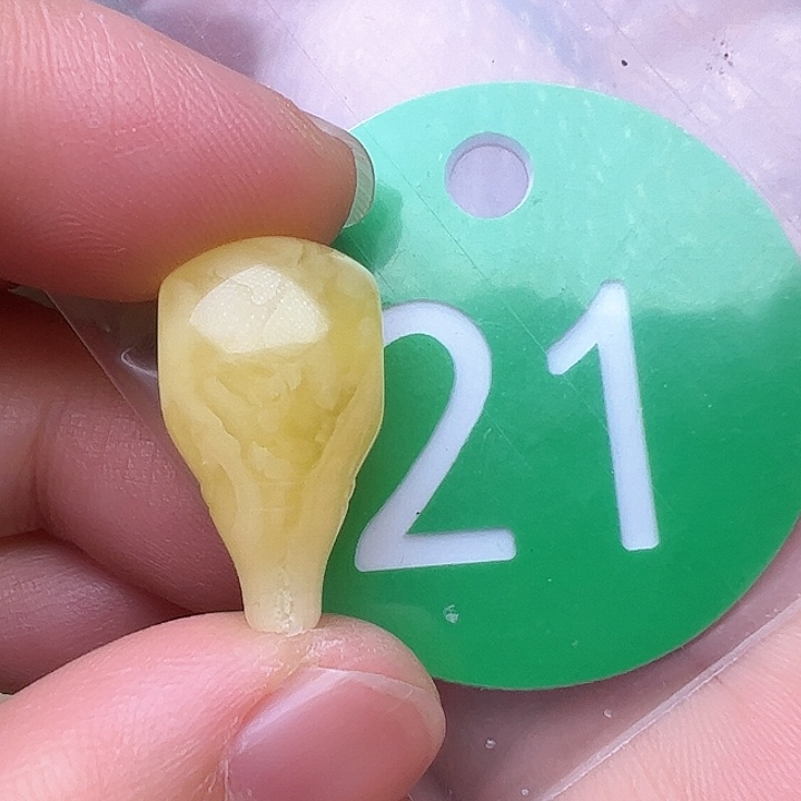 蜜蜡裸石未镶嵌花11.4m m