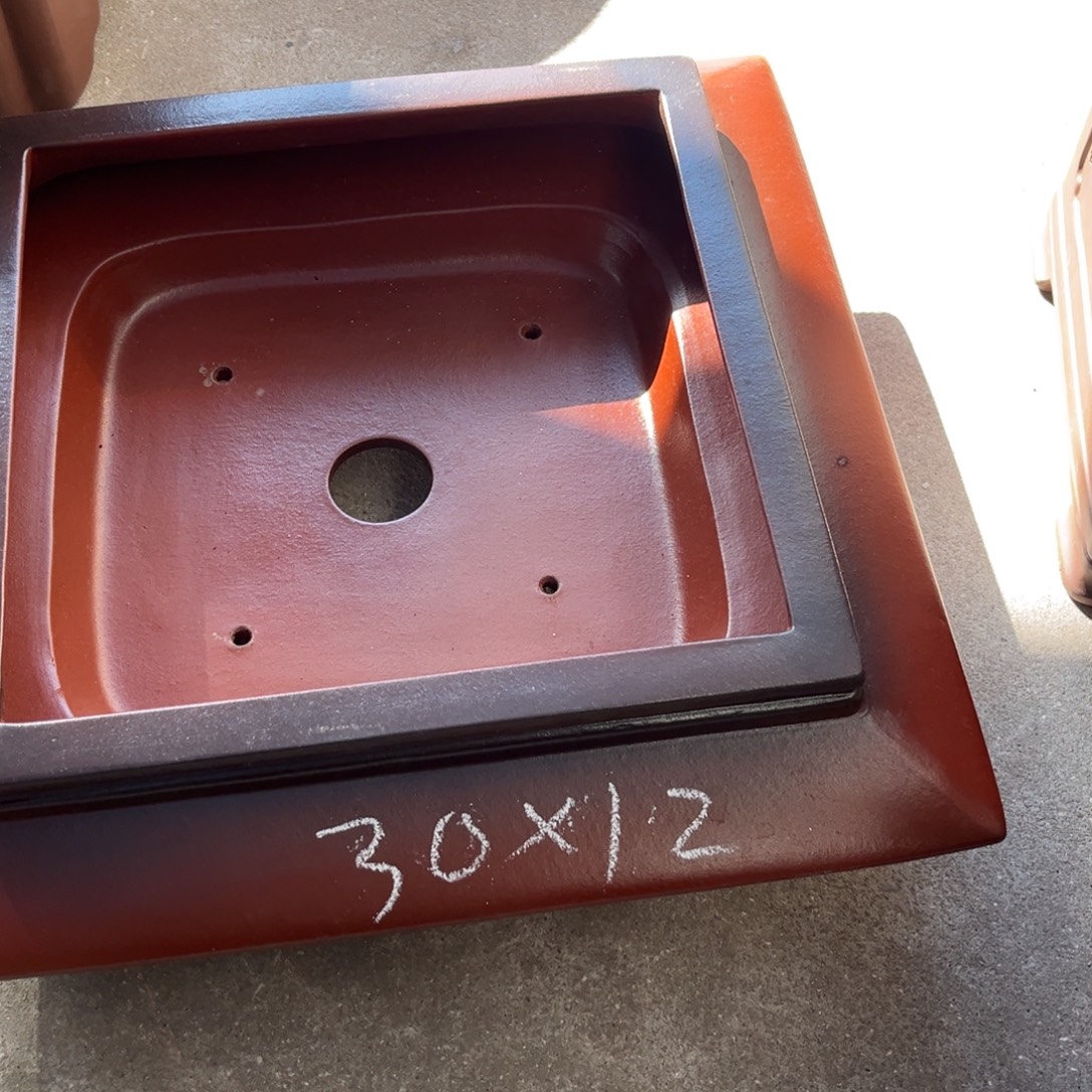 花盆紫砂盆景艺术