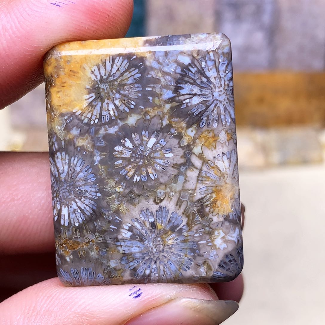 硅化玉珠宝奇石合金玖*