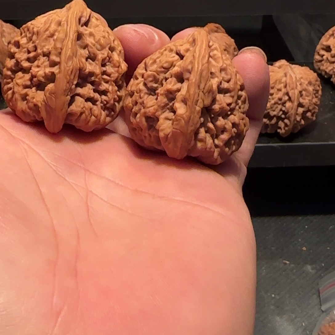 桃核把件涿鹿南疆天残38