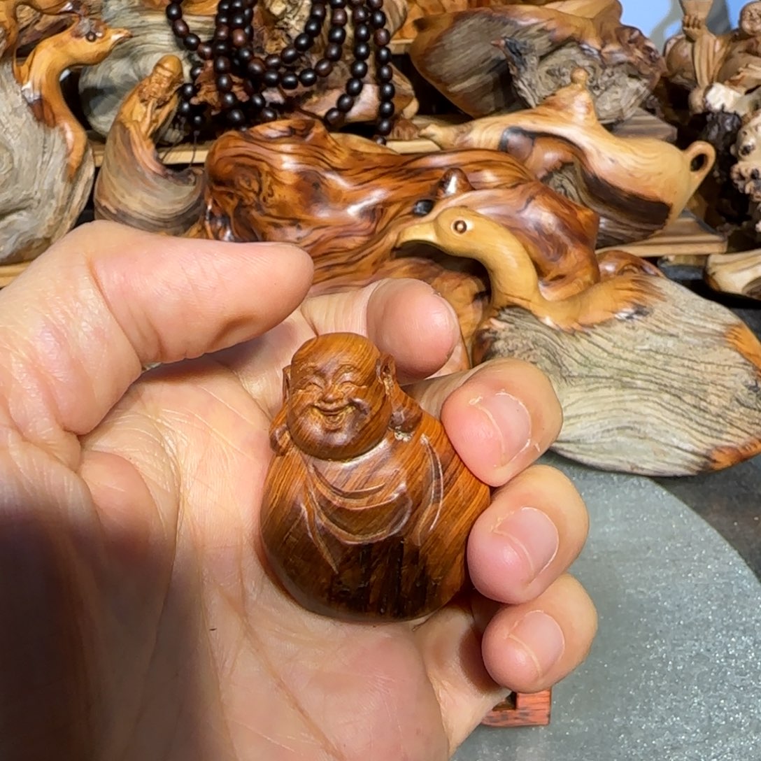 日***心柏木太行崖柏888888