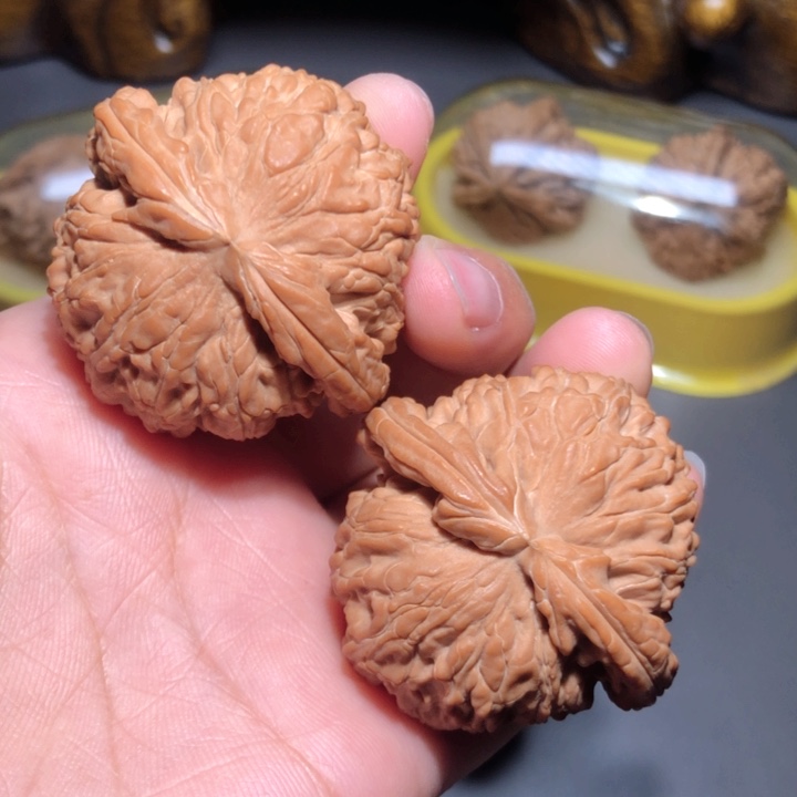 文玩核桃把件45白狮子