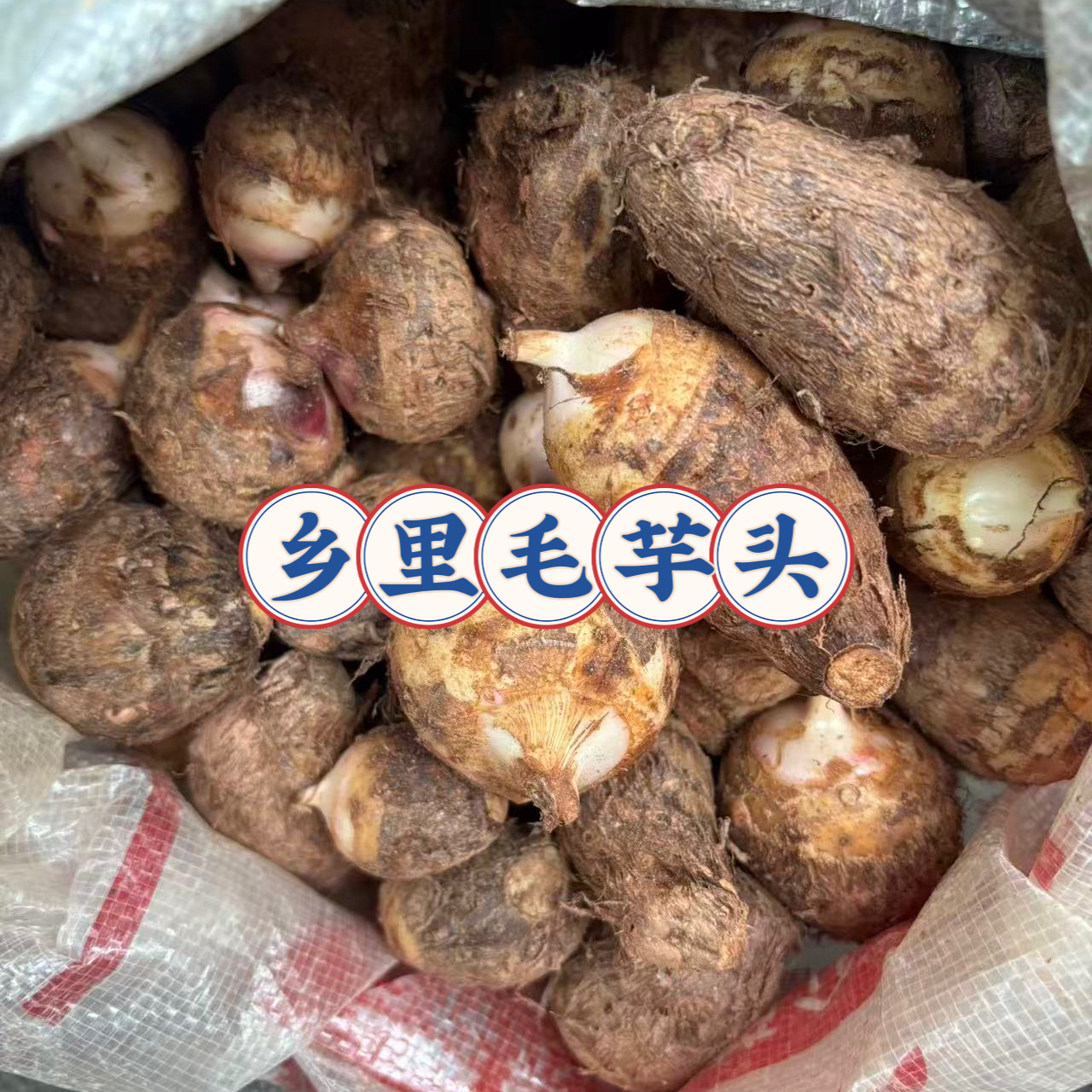 正宗乡里土小毛芋头