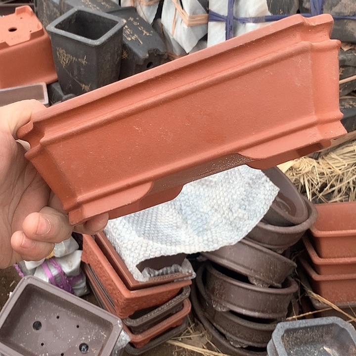 紫砂我要努力赚钱给