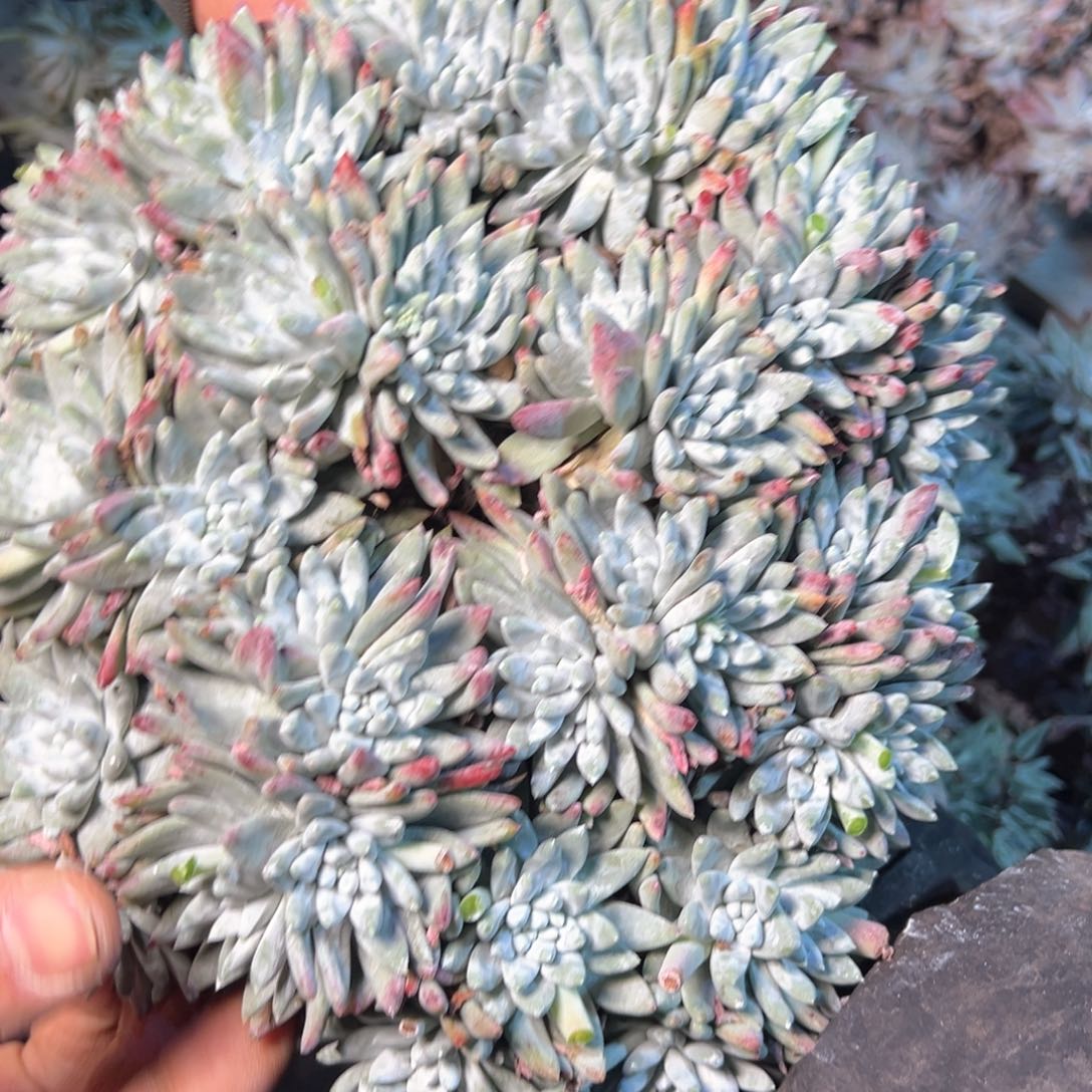 7469哈哈哈哈哈哈哈哈哈