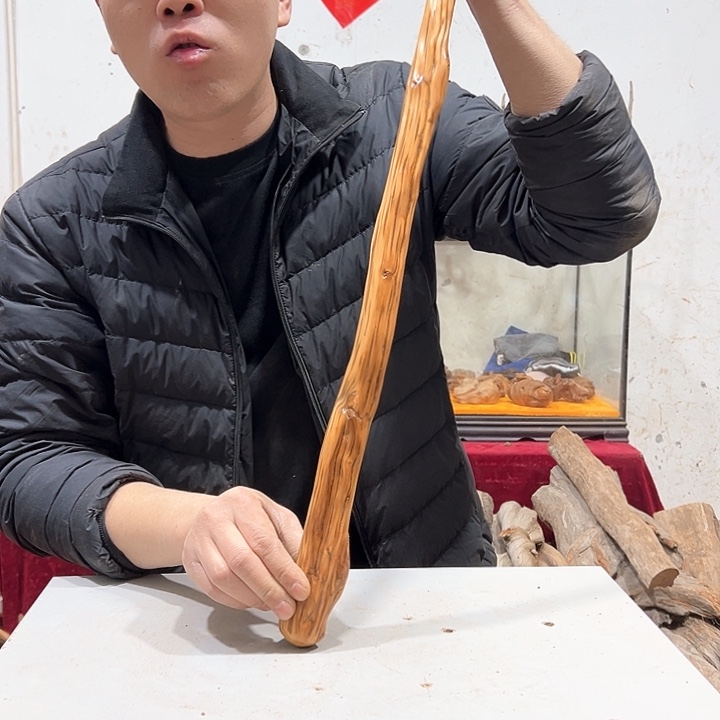 柏木舍我们的生活也是如此