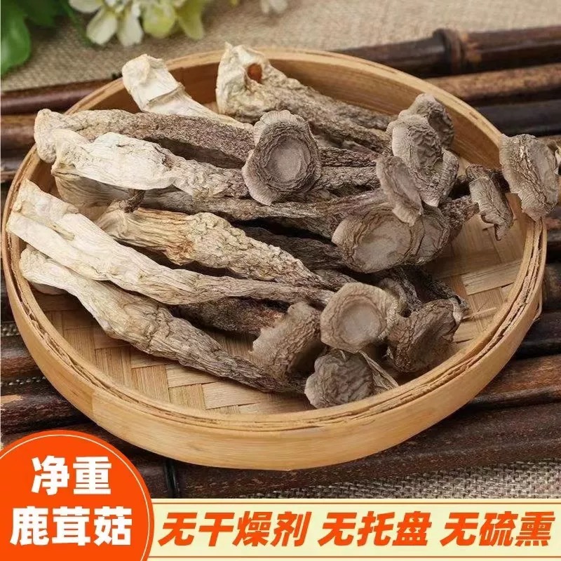 精选鹿茸菇无硫无熏干货煲汤炒肉鲜美营养视频XX企业家