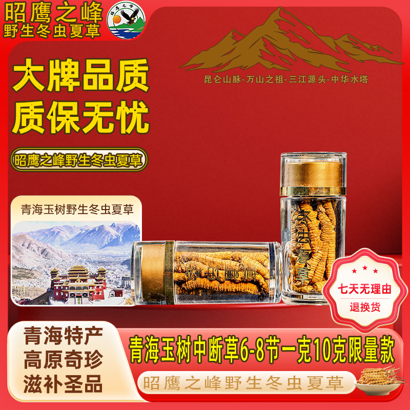 昭鹰之峰青海玉树野生冬虫夏草精选中级断草6-8节一克